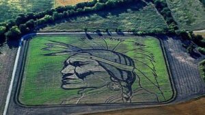 Picturi de o jumatate de hectar – incredibil