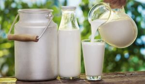Este periculos consumul de lapte si lactate la batranete?